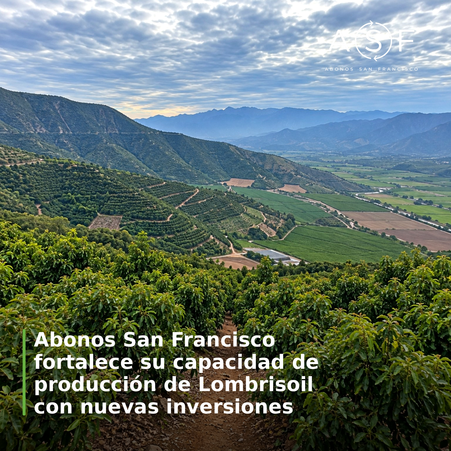 Abonos San Francisco fortalece su capacidad de producción de Lombrisoil con nuevas inversiones