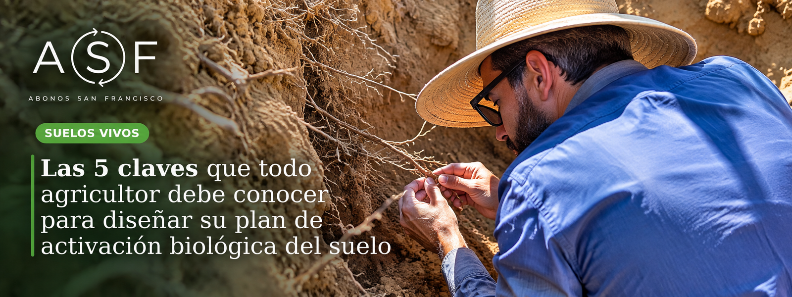 Las 5 claves para diseñar un plan de activación biológica del suelo | Abonos San Francisco